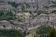 Mountain Goat 6220